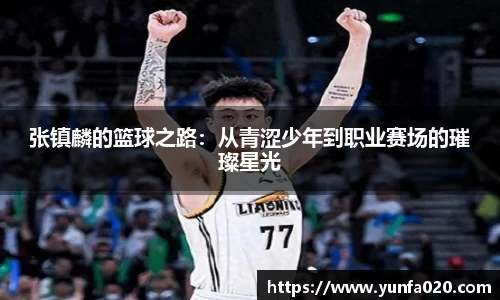 张镇麟的篮球之路：从青涩少年到职业赛场的璀璨星光