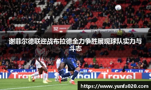 星空.综合体育官网