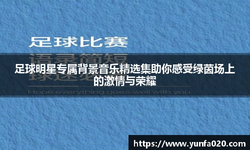 星空.综合体育官网