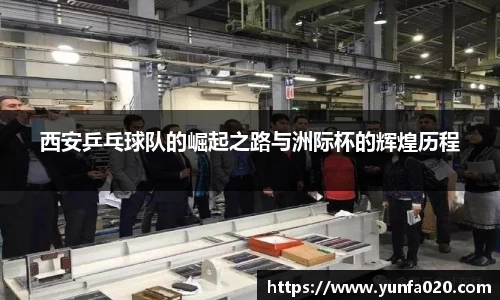 星空.综合体育官网