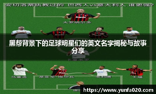 星空.综合体育官网